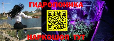 apvp Заволжье