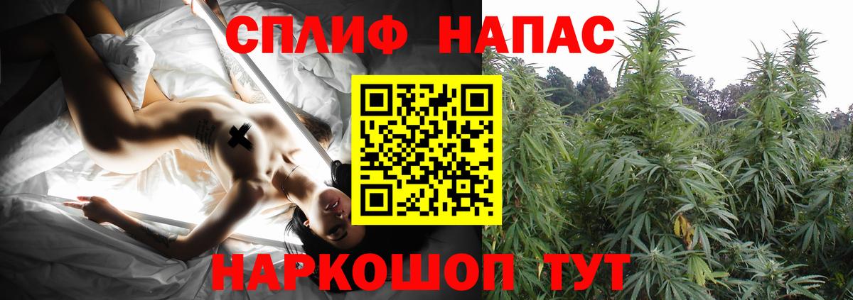 Конопля тримм  Каннабис гибрид  Вход с VPN  Конопля MAZAR  Конопля Amnesia  Миасс 